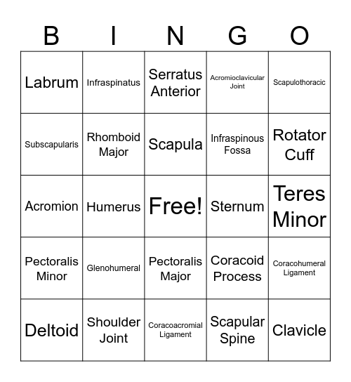 Shoulder Review Bingo Card