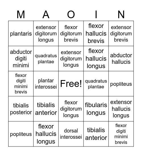 MAOIN Bingo Card