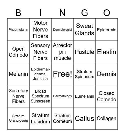 Skin Structure and Growth Bingo Card