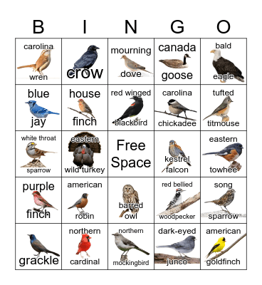 Bird Bingo Card