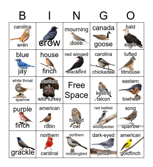Bird Bingo Card
