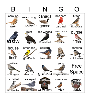 Bird Bingo Card