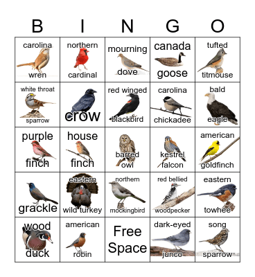 Bird Bingo Card