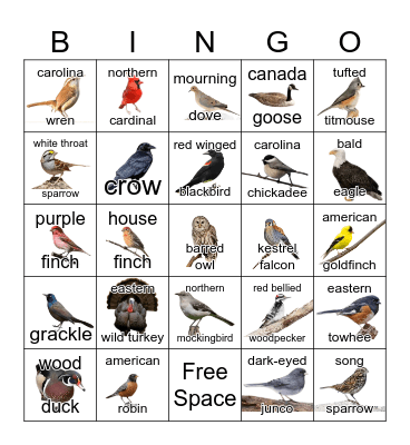 Bird Bingo Card