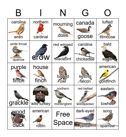 Bird Bingo Card