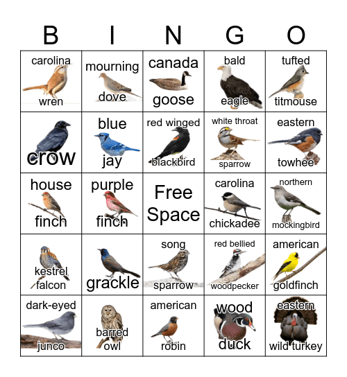 Bird Bingo Card