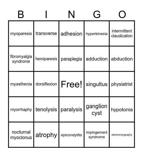 The Muscular System Chapter 4 Bingo Card