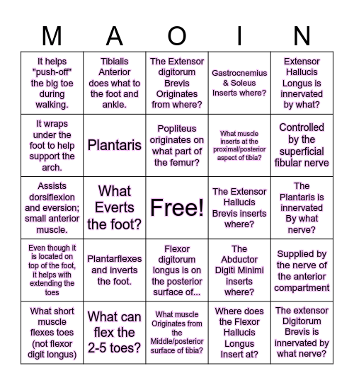 MAOIN-Abby Bingham Bingo Card