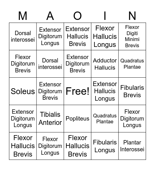 Anatomy Bingo Card