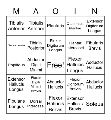Leg and Foot MAOIN Bingo Card