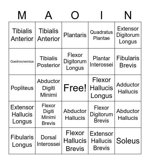 Leg and Foot MAOIN Bingo Card
