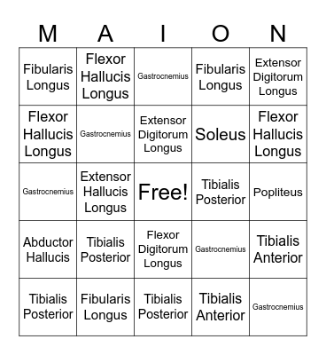 MAION Bingo Card