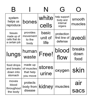 science bingooooo! Bingo Card
