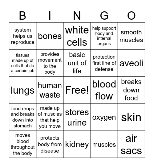 science bingooooo! Bingo Card
