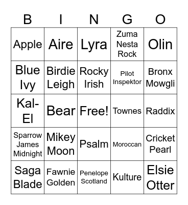 Celebrity baby names Bingo Card