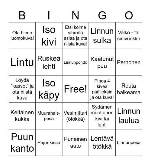 KIAN LUONTO Bingo Card