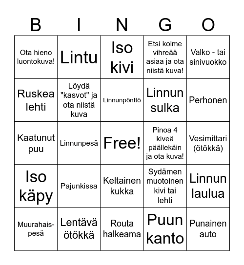KIAN LUONTO Bingo Card