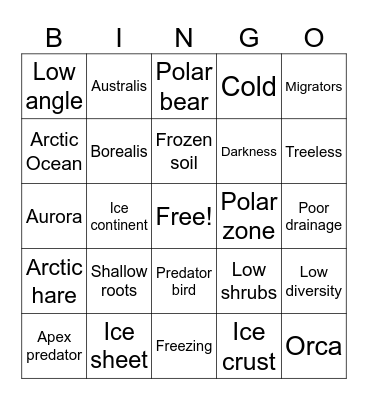 Frozen Lands Bingo Card