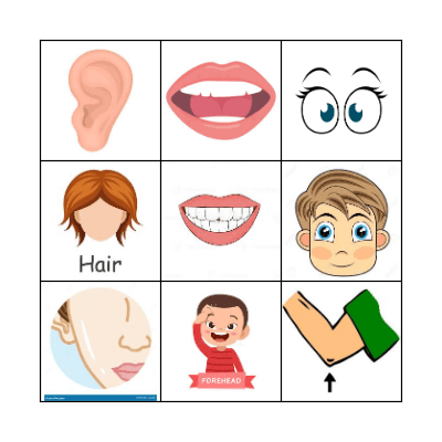 Māori body parts Bingo Card