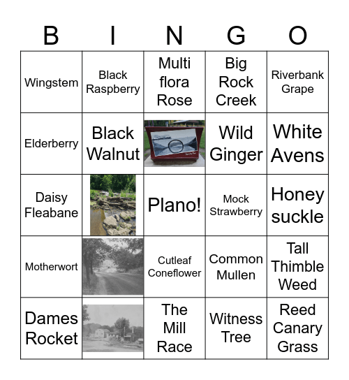 Steward Park Bingo Card