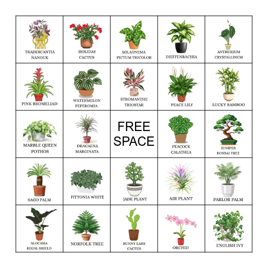 PLANT BINGO Card