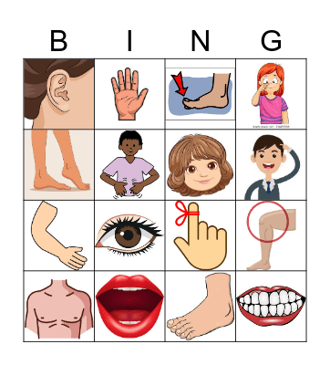 Parts of the Body Bingo Card