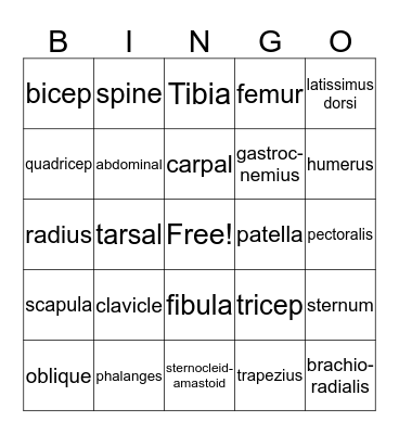 Health Bingo Card