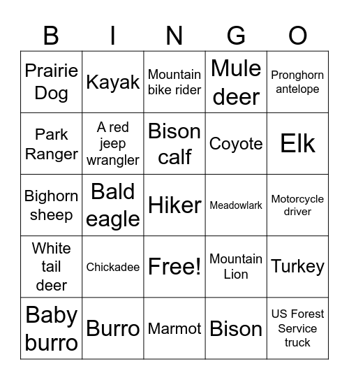 Custer State Park Bingo Card