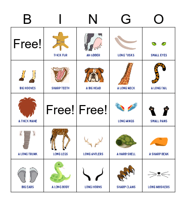 Animal Body Parts Bingo Card