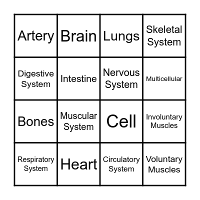 Body Systems Bingo Card