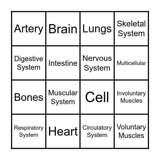 Body Systems Bingo Card