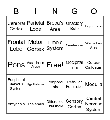The Brain Bingo Card