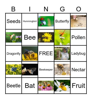 Pollination Bingo Card