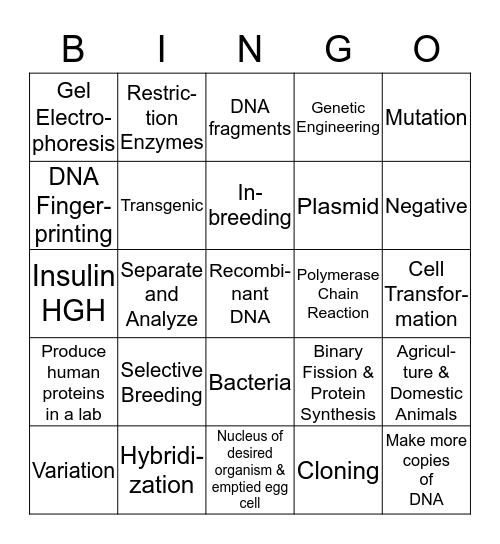 Bio 10 Ch.13 Genetics Bingo Card