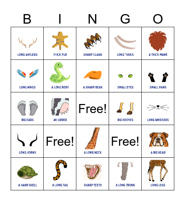Animal Body Parts Bingo Card