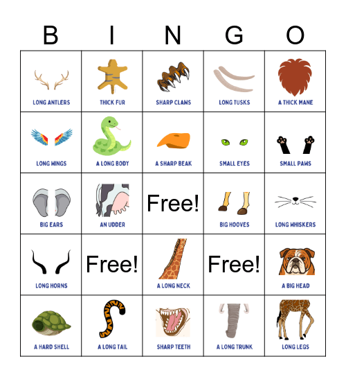Animal Body Parts Bingo Card