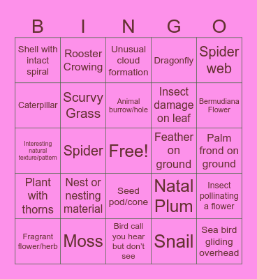 Queenie’s Wild Nature Walk Bingo Card