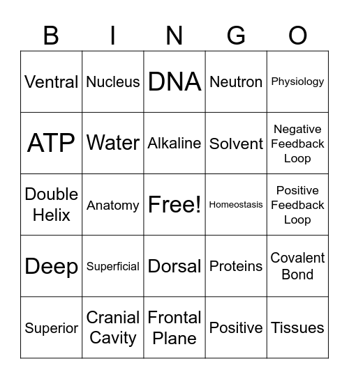A & P Nurisng Bingo Ch. 1 & 2 Bingo Card