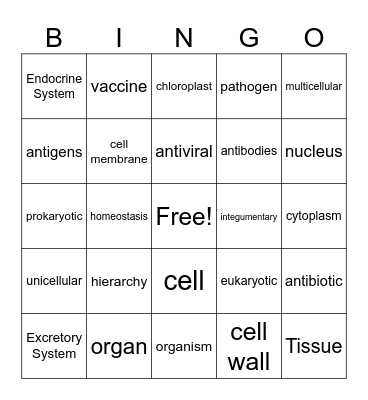 Quarter 3 Review Bingo Card