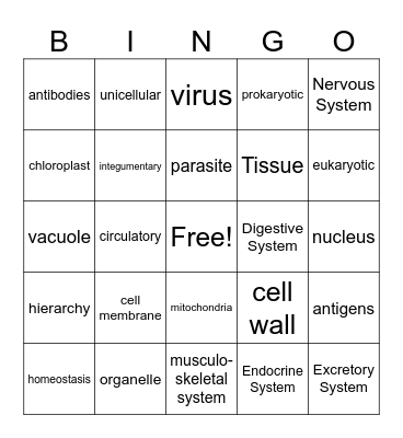 Quarter 3 Review Bingo Card
