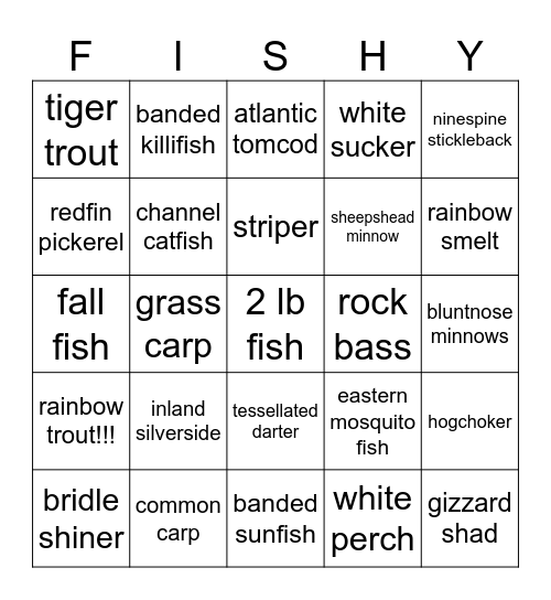 fishes… Bingo Card