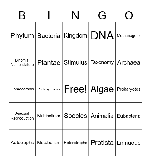Classification Bingo Card