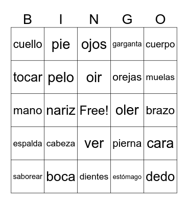 Body Parts Bingo Card
