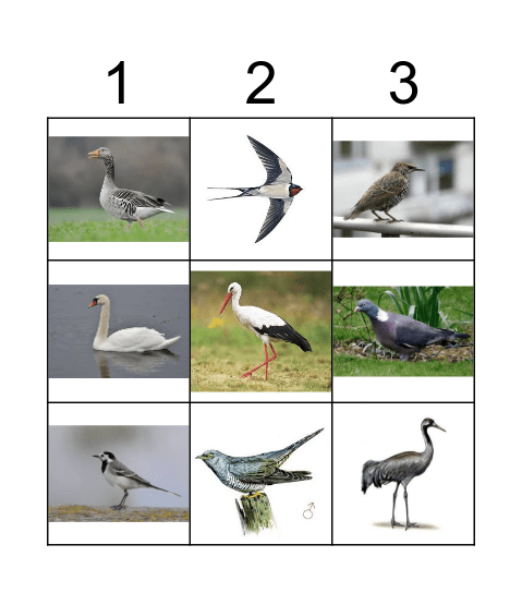 Gājputni Bingo Card