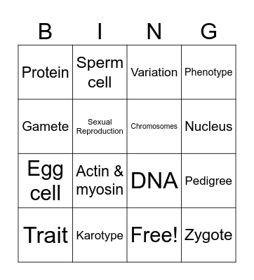 Genetics Vocabulary Bingo Card