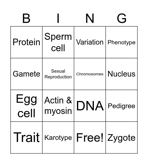Genetics Vocabulary Bingo Card