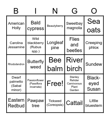 Native NC Plants Bingo Card