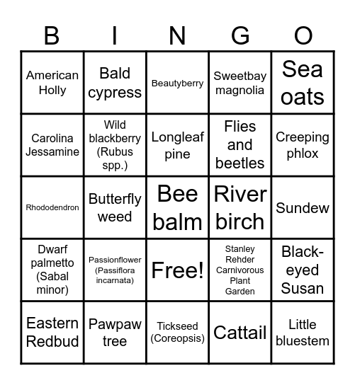 Native NC Plants Bingo Card