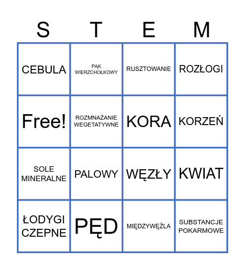ŁODYGA Bingo Card