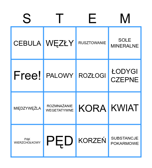 ŁODYGA Bingo Card
